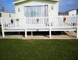 East of England Golden Palm 14249