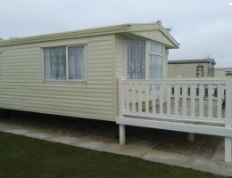 East of England Golden Palm 2571