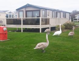 Cumbria Lakeland Leisure Park 2597