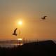 Private caravan hire owner | Debbi | Widemouth Fields Holiday Park | Bude