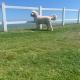 Private caravan hire owner | Sarah | Hopton Holiday Village | Hopton